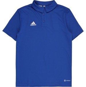 ADIDAS PERFORMANCE Funkční tričko 'Entrada 22' královská modrá / bílá