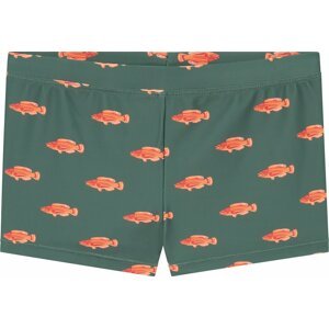 Shiwi Plavecké šortky zelená / oranžová