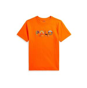 Tričko Polo Ralph Lauren modrá / žlutá / oranžová / červená