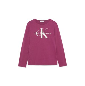 Tričko Calvin Klein Jeans krémová / tmavě fialová