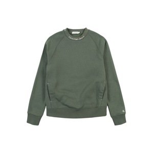 Mikina 'Instarsia' Calvin Klein Jeans zelená / bílá