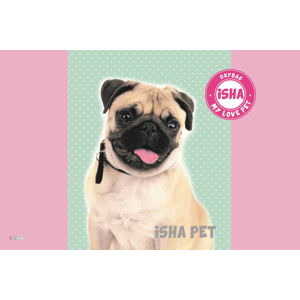 Karton P+P Plastová podložka ISHA - My love Pet