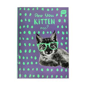 Interdruk Zápisník Are you kitten me? A5, 96 listů, čistý