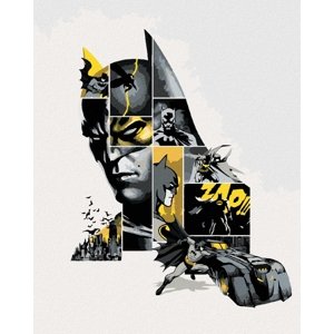 Zuty Malování podle čísel Batman v šedé a žluté