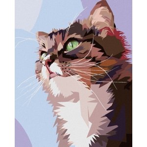 Zuty Malování podle čísel Zvědavá kočka portrét