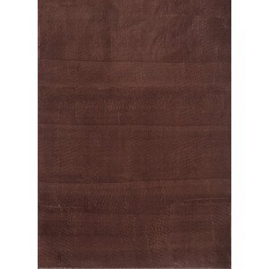 Ayyildiz koberce Kusový koberec Catwalk 2600 Brown Rozměry koberců: 80x150