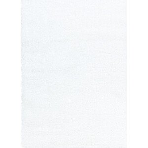 Ayyildiz koberce Kusový koberec Brilliant Shaggy 4200 Snow Rozměry koberců: 60x110