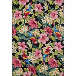 Hanse Home Collection koberce Kusový koberec Flair 105619 Tropical Feeling Multicolored – na ven i na doma Rozměry koberců: 80x165