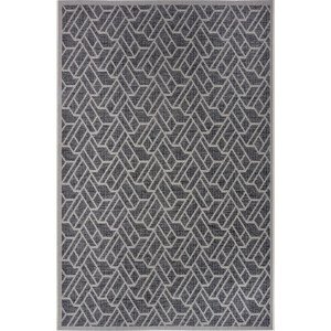 Hanse Home Collection koberce Kusový koberec Clyde 105912 Eru Grey Beige – na ven i na doma Rozměry koberců: 76x150