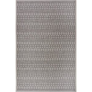 Hanse Home Collection koberce Kusový koberec Clyde 105913 Vanti Beige Grey – na ven i na doma Rozměry koberců: 76x150