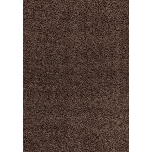 Ayyildiz koberce Kusový koberec Dream Shaggy 4000 brown Rozměry koberců: 60x110