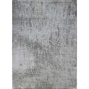 Berfin Dywany Kusový koberec Dizayn 2329 Grey Rozměry koberců: 80x150