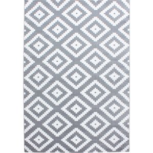 Ayyildiz koberce Kusový koberec Plus 8005 grey Rozměry koberců: 80x150