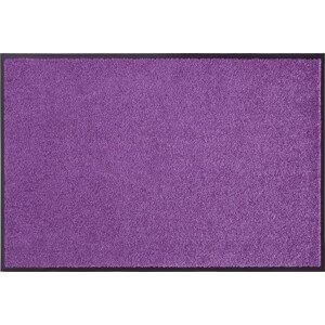Hanse Home Collection koberce Rohožka Wash & Clean 103838 Violett Rozměry koberců: 90x150