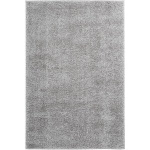 Obsession koberce Kusový koberec Emilia 250 silver Rozměry koberců: 120x170