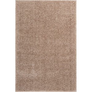 Obsession koberce Kusový koberec Emilia 250 taupe Rozměry koberců: 60x110